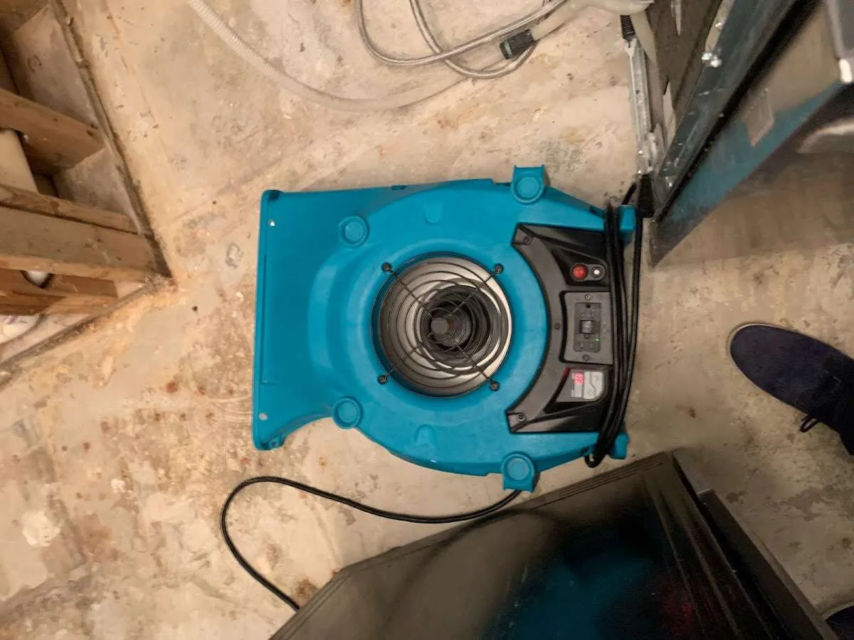 Air mover drying equipment for Mold Remediation & Removal in Carol Stream